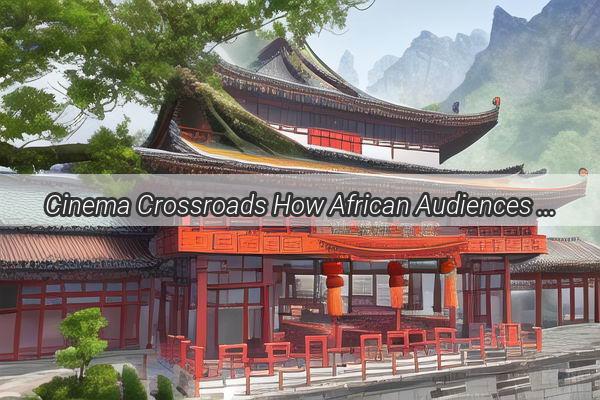 Cinema Crossroads How African Audiences Are Embracing the Vibrant World of Chinese Cinema